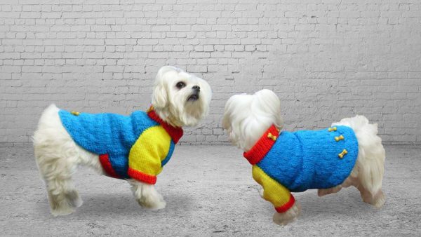 Tricô Roupa Cachorro A Sacaria
